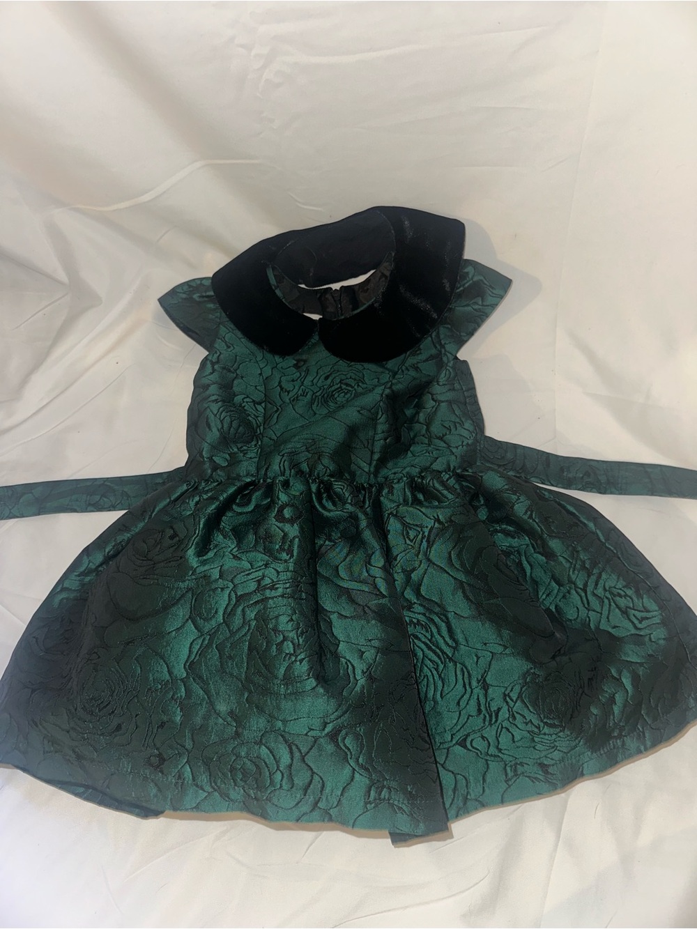 Isobella & Chloe 2T Emerald Green Black Rose Jacquard Holiday Party Dress